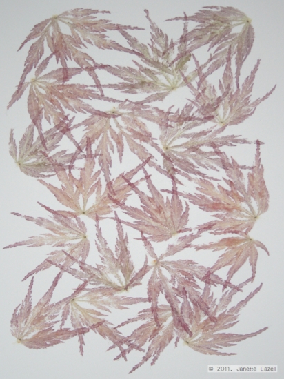 Mixed media-leaf printing - paper 2